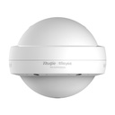 Ruijie AX3000 Wi-Fi 6 dual-band Gigabit outdoor AP,160 MHz,IP68